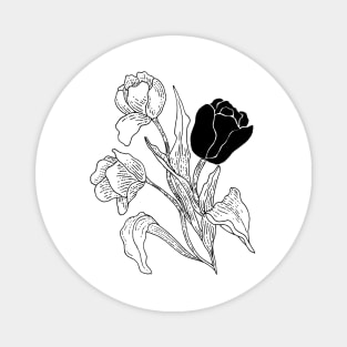 White tulips/Black tulip Magnet